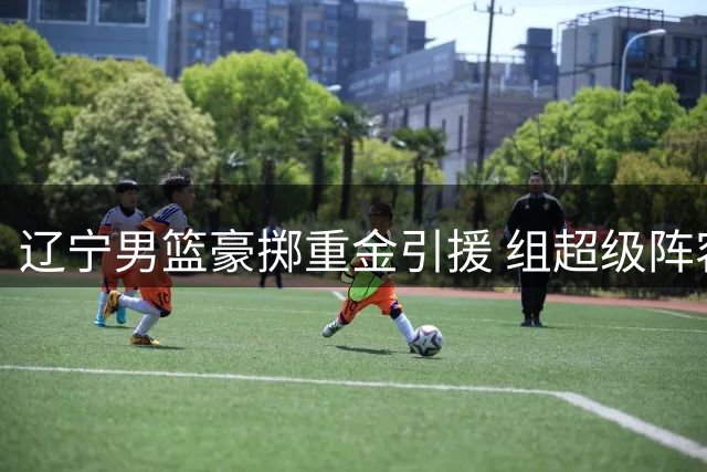 辽宁男篮豪掷重金引援 组超级阵容剑指CBA总冠军